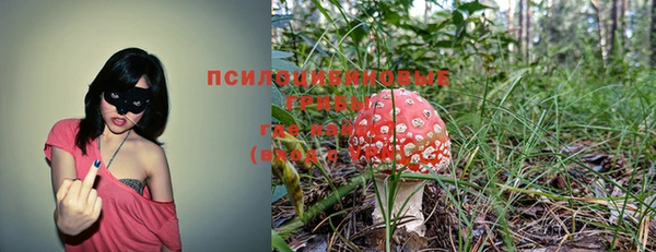 герыч Алексин