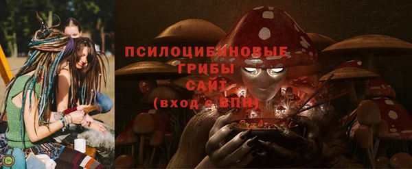 герыч Алексин