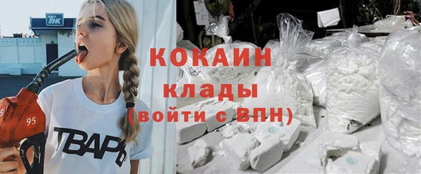 гидра Медвежьегорск