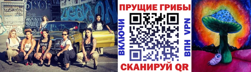 Галлюциногенные грибы мицелий Чердынь